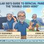 bifacial_panels.jpg